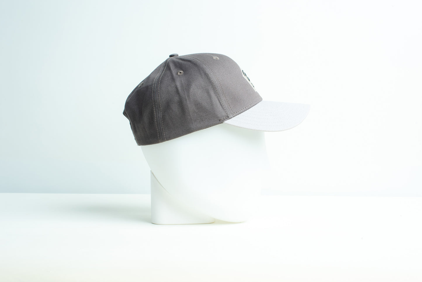 BirdCap BC Blue Bird