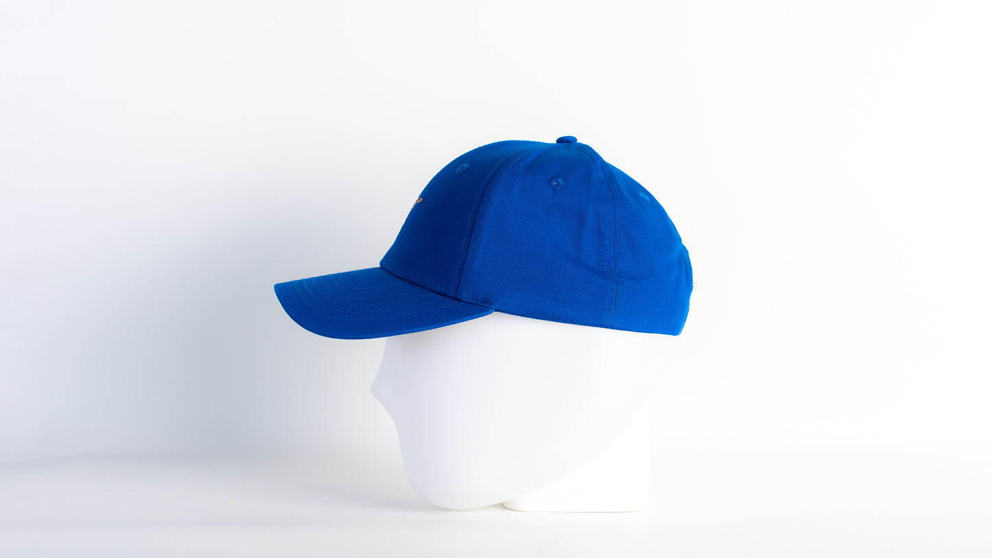 BirdCap Ciconia Blue