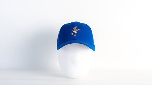 BirdCap Ciconia Blue